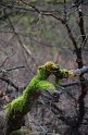 Wandertag 2016 - 044